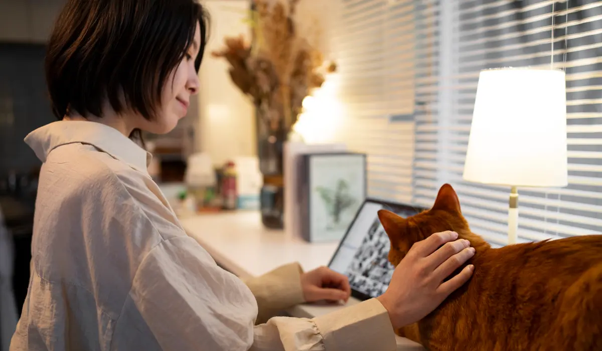 How to Decode Your Cat’s Behavior: A Scientific Approach