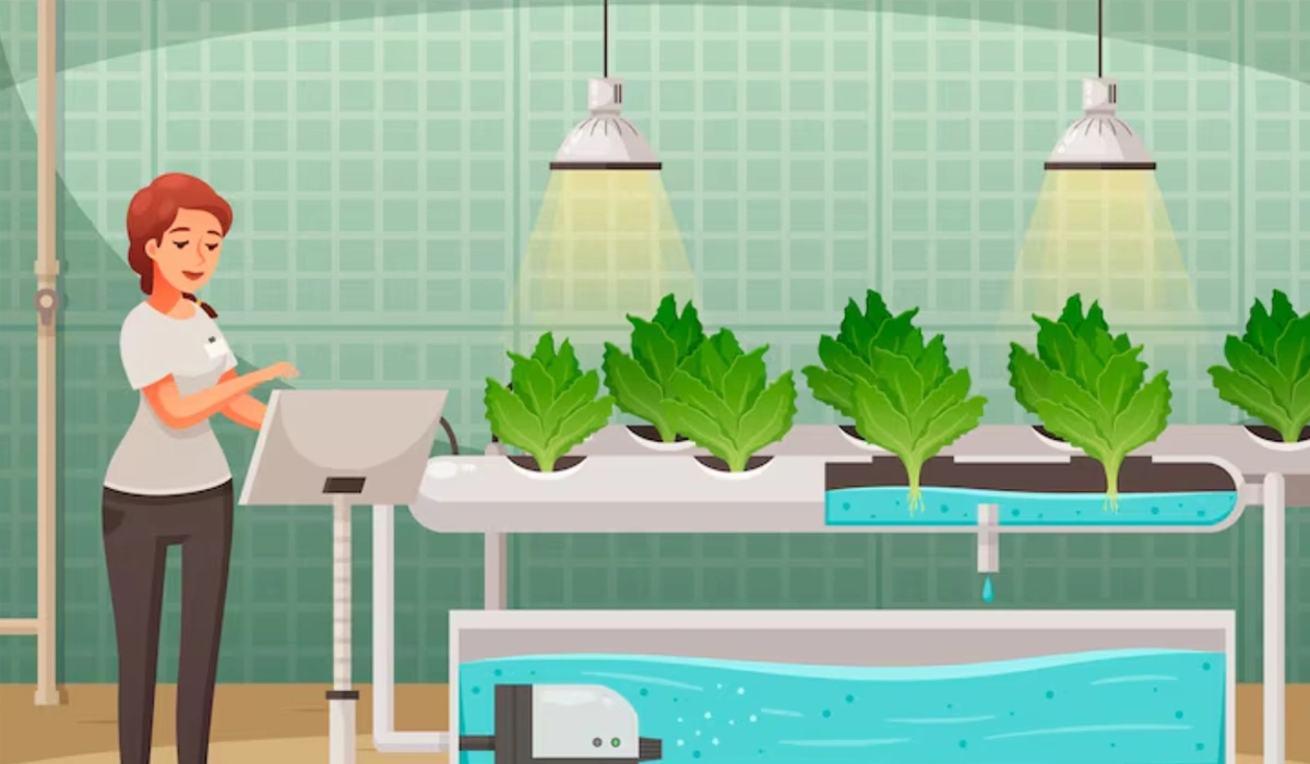 Hydroponic Farming Explained: How to Grow Plants Without Soil